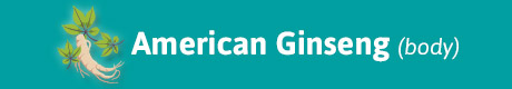 460x80_eys_almighty_ginseng